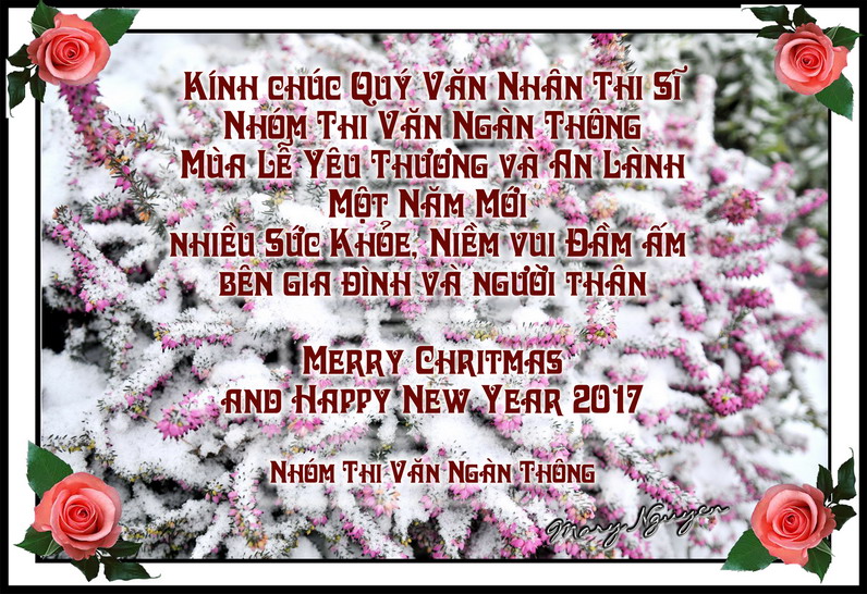 Chúc Mừng Giáng Sinh và Năm Mới